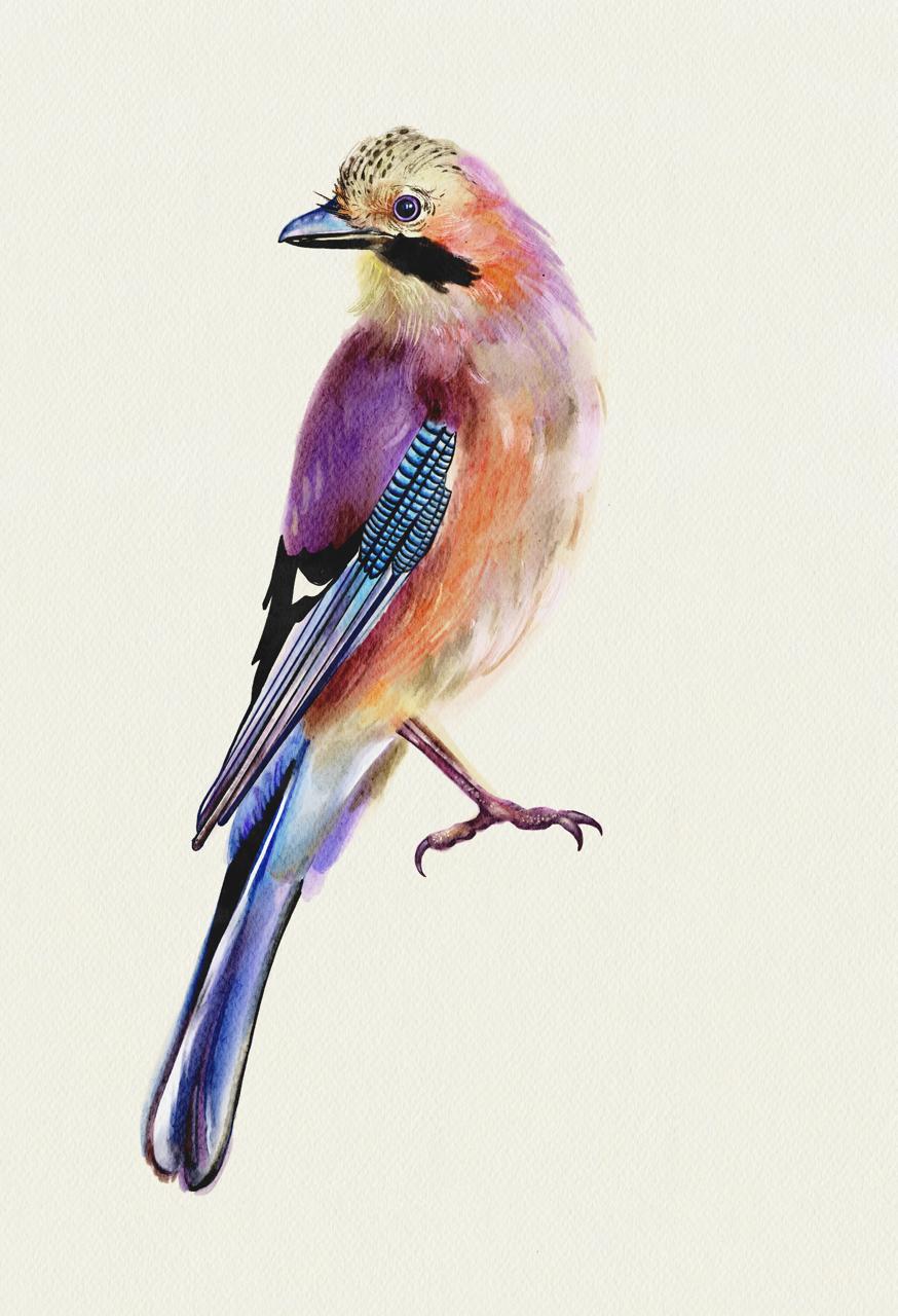 Digital Art